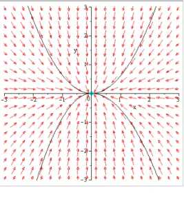 Figure 1.1 – Attracteur positif
