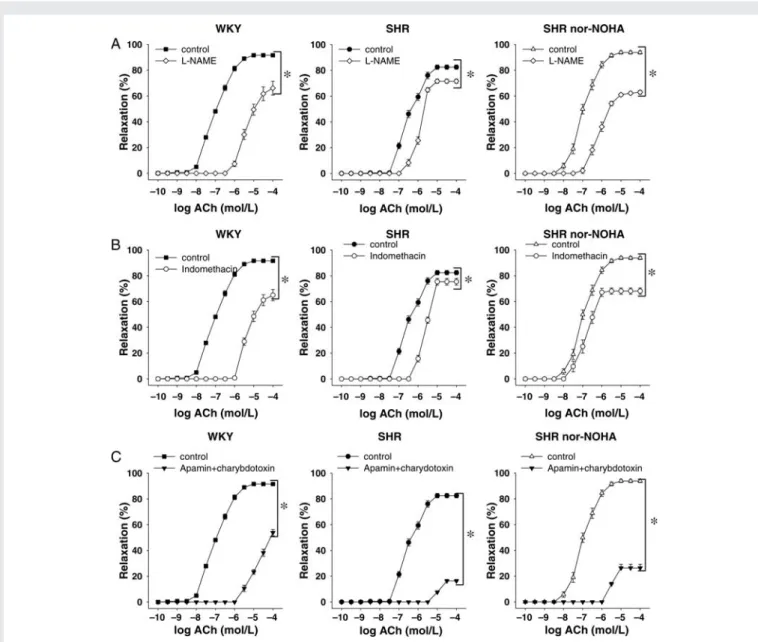 Figure 4 Effect of L -NAME, indomethacin, apamin, and charybdotoxin on the mesenteric artery response to ACh