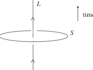 Figure 3. An ’t Hooft or Wilson line operator that runs in the time direction (shown vertically) at a ﬁxed position in W 