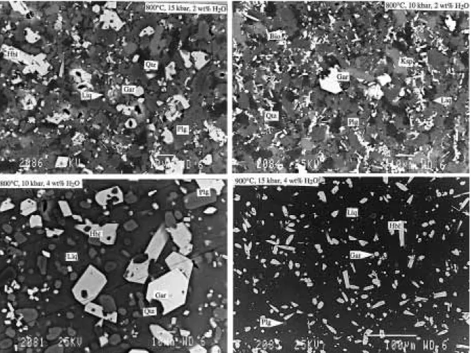 Fig. 1. Back-scattered electron micrographs of some experiments at 10 and 15 kbar.
