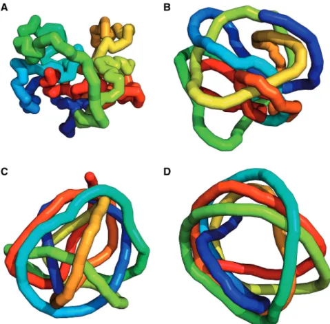 Figure 2 in addition to presenting the effect of polymer stiffness on the overall extent of knotting (see insets) also shows how the relative frequency of various formed knots changes as a function of chain stiffness