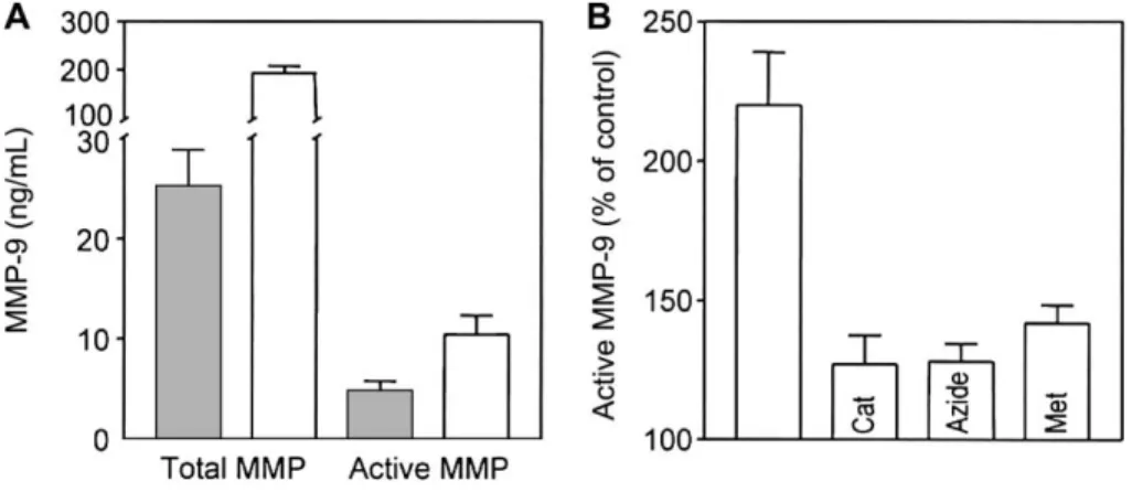 Figure 3. Oxidative activation of matrix metallo proteinases (MMPs) in vitro. A, Supernatants of human polymorphonuclear cells (PMNs)