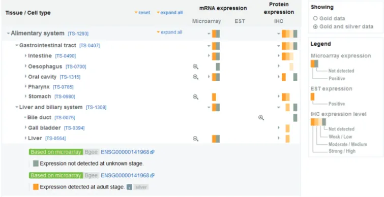 Figure 3. The Expression Data view displays data via a browser of the neXtProt human anatomy ontology