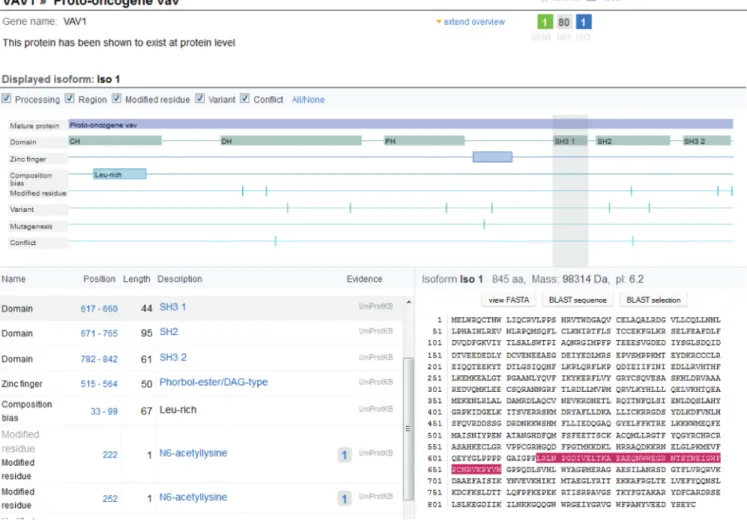 Figure 4. The Sequence Viewer, accessible from the Sequence view, displays - in addition to the sequence itself, the different features of the sequence (processing, regions, modiﬁed residues, topological information, variants, sequence conﬂicts, etc.) as a