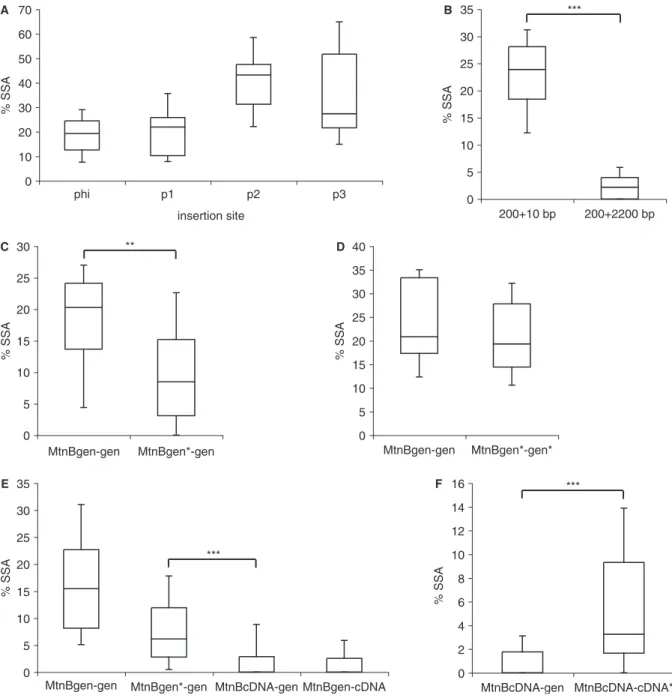 Figure 4. In vivo detection of SSA in the male germline. SSA frequency in ﬂies was determined as described in Material and Methods section