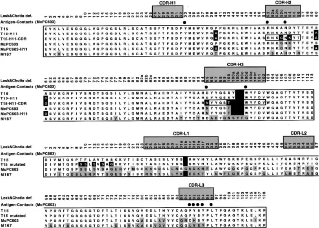 Fig. 1. Sequence alignments of the V H and V L domains of McPC603 and T15. The hypervariable regions, as defined by Chothia and Lesk (1987), are shaded and labelled