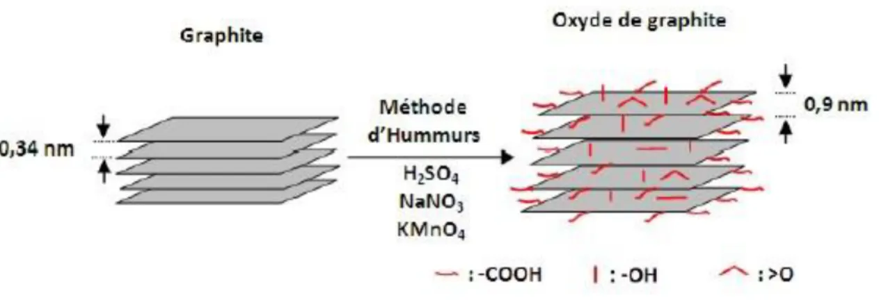 Figure I. 5 : Procédés d’oxydation des flocons de graphite par la méthode Hummers [6]