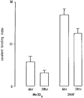 Fig. 2. Covalent binding indices determined for hepatic DNA isolated from mice treated (per os) with either MelQx or 2AAF and killed 6 h or 24 h after administration