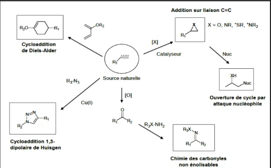Figure 10 : Schéma présentant l’ensemble des réactions de la chimie click  