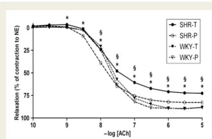 Figure 6 Dose – response curve to endothelin-1 in quiescent isolated aortic rings obtained from spontaneously hypertensive rats and Wistar – Kyoto rats