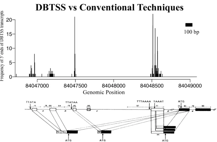 Figure 1. In silico primer extension yields results comparable to those of conventional methods
