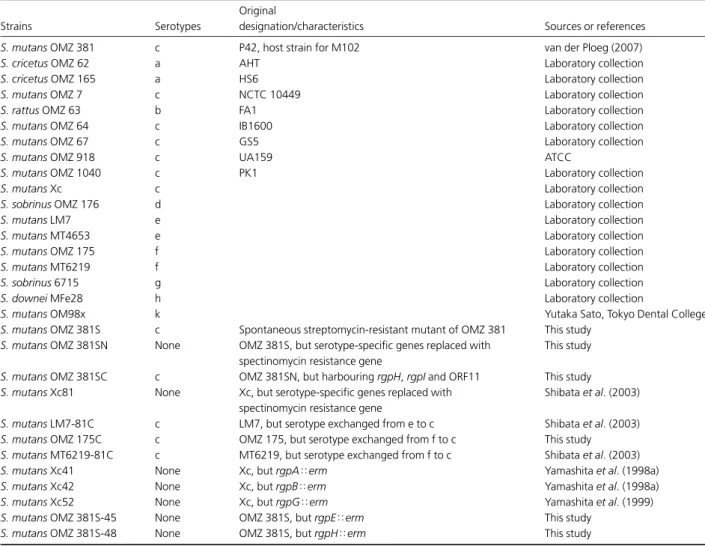 Table 1. Strains used in this study