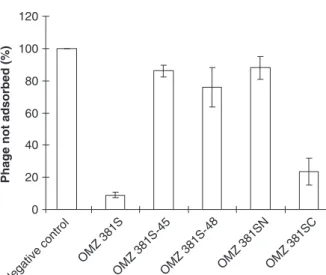 Fig. 5. Adsorption of phage M102 to Streptococcus mutans rgp mu- mu-tants of OMZ 381S