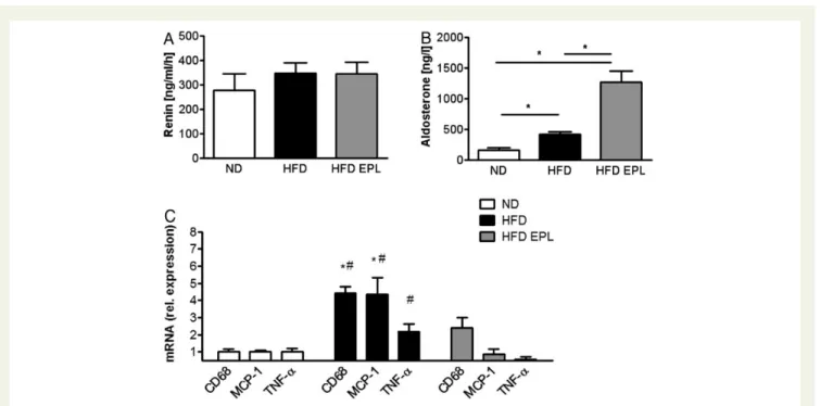 Figure 2 Mineralocorticoid receptor antagonism prevents obesity-induced worsening of endothelial function