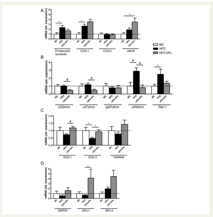 Figure 3 Obesity-induced pro-inflammatory and pro-oxidative changes are modulated by mineralocorticoid receptor antagonism in aortic endothelial cells