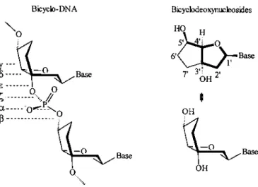 Figure 1. The structure of bicyclo-DNA and the bicyclonucleosides including representation of their preferred conformation.