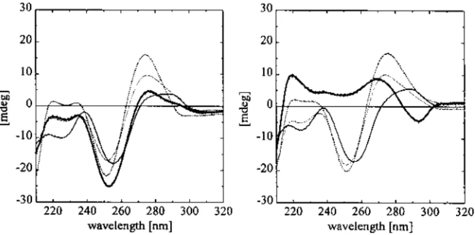 Figure 4. CD spectra of the self-complementary duplexes d(CG) 3  (–); (dC-bcdG) 3  (—); (bcdC-dG) 3  (---) and bcd(CG) 3 , (···) in 10 mM Tris–HCl, pH 7.0, 4  C, c = 10 µM