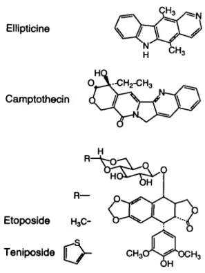 Fig. 1. Chemical structures of the four topoisomerase inhibitors studied.