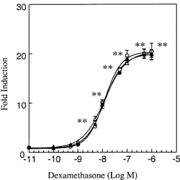 FIG. 4. Effect of dexamethasone on luciferase activity in MDA-kb2 cells in the absence and presence of 1 ␮ M ﬂutamide and 1 ␮ M hydroxyﬂutamide.