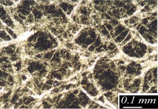 Fig 7. Optical micrograph of a composite of poly(methyl methacrylate) and 40% w/w  (35% v/v) [Pt(NH 2 Oc) 4 ][PtCl 4 ] between crossed polarizers 