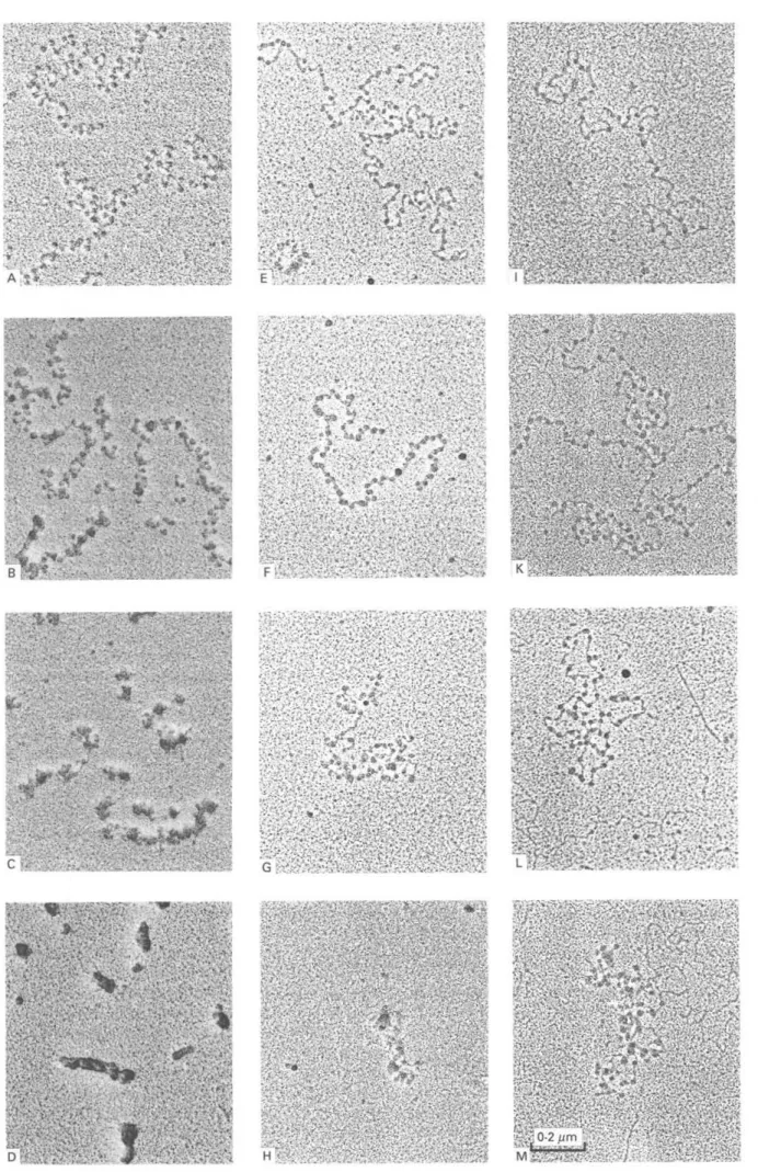 Fig. 1. For legend see opposite.