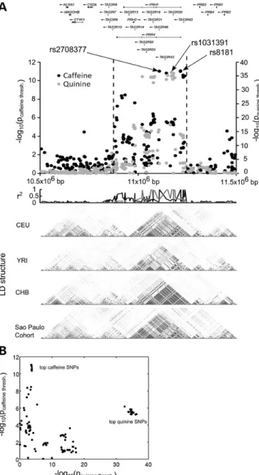 Figure 3. Caffeine and quinine detection thresholds are associated with distinct loci