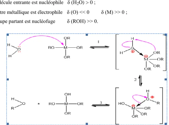 Fig. 2 : Mécanisme d’hydrolyse des alcoxydes métalliques M(OR) n (milieu neutre,               sans catalyseur) 