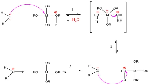 Fig. 3 : Mécanisme d’hydrolyse par catalyse acide des alcoxydes métalliques M(OR) n. 