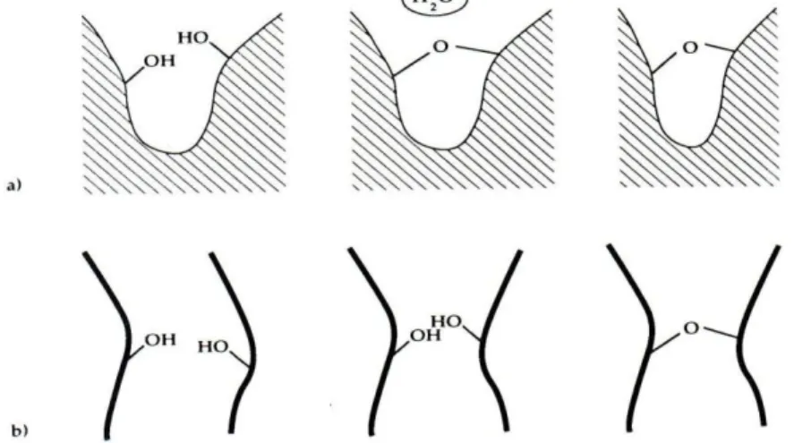Fig . 12  :  Représentation des phénomènes de synérèse : a) condensation entre groupements réactifs                proches, b) condensation entre groupements réactifs initialement éloignés 
