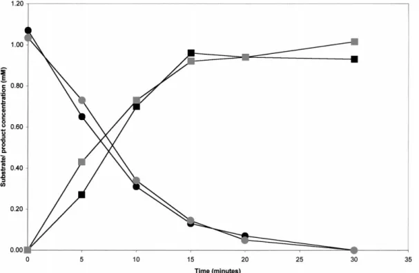 Fig. 1. Rates of PAA consumption and PACoA formation in permeabilised cells and cell free extracts