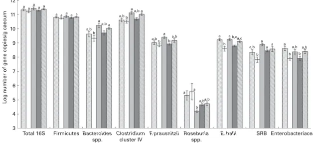 Fig. 3. Caecal microbiota composition after killing in rats fed diets differing only in iron concentration