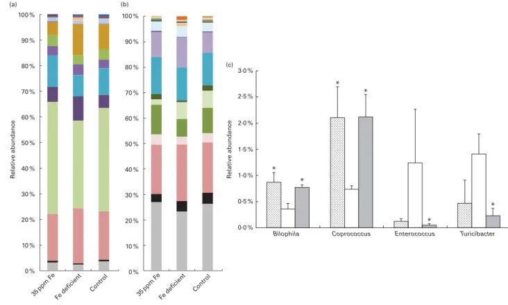 Fig. 4. Caecal microbiota composition of rats fed the 35 ppm iron diet (n 3 samples), rats fed an iron-deficient diet (n 3 samples) and rats fed the control diet (n 3 samples)