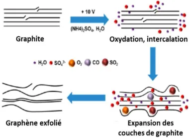 Fig. IV. 5 Illustration schématique du mécanisme d'exfoliation électrochimique [83]. 