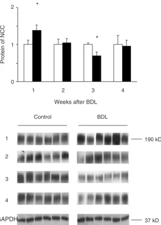 Figure 3), without changes in mRNA expression except an increase at week 4. No difference was detected between BDL and control at weeks 2 and 4.