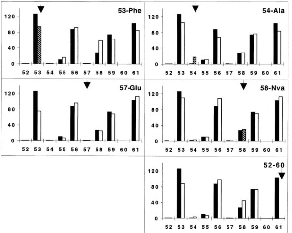 Fig. 6. Comparison of the surface exposed areas of HEL[52–61] (black columns) with those of HEL peptide with single amino acid substitution (white columns) deleterious for their recognition by the 2A11 (left histograms) or 3A9 (right histograms) T cells