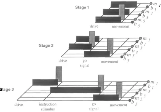 Figure 7. Internal representation of se- se-quences. Activities in matching units m,, nij, n\ (light shading) and bistable units b,, by n\ [dark shading) are qualitatively displayed