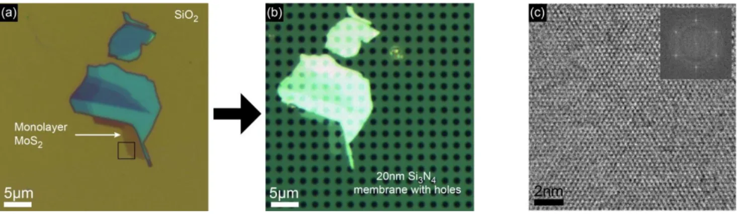 Figure 1. 1L-MoS 2  layers are exfoliated on SiO 2  substrates (a) and transferred on the Si 3 N 4 membranes after optical and AFM thickness determination (b)