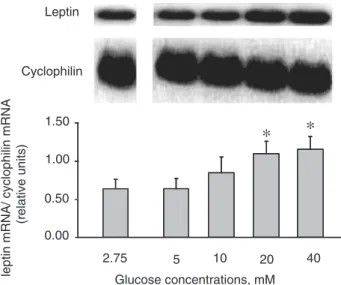 Fig. 4. Effect of the addition of DON in laboratory-manufactured dialysates on leptin secretion
