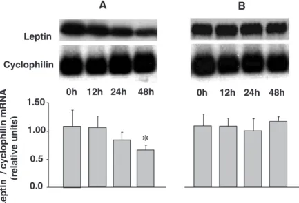 Fig. 5. Effect of the addition of DON in laboratory-manufactured dialysates on leptin mRNA