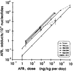 Fig. 2. Aflatoxin-DNA adduct levels in male F-344 rat liver, as a function of dose (jr-axis) and after different periods of exposure (different curves) to [ 3 H]AFB,