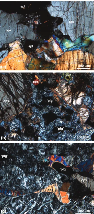 Fig. 2. Photomicrographs of the Eastern Central Alps peridotites.