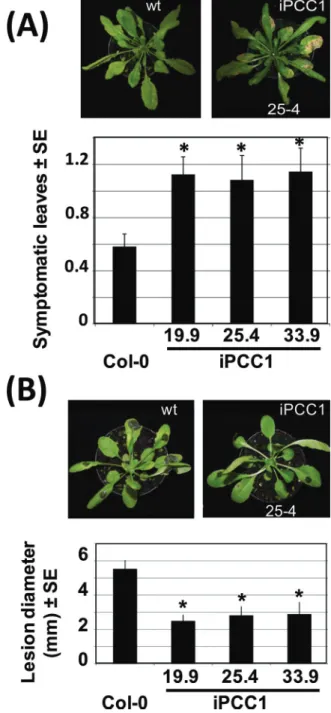 Fig. 2.  Effect of ABA on wild-type and iPCC1 stomatal aperture  and root growth. (A) The stomatal aperture, expressed as the  ratio of length to width as indicated in the image in the left panel,  was calculated for the wild type and two iPCC1 lines eithe