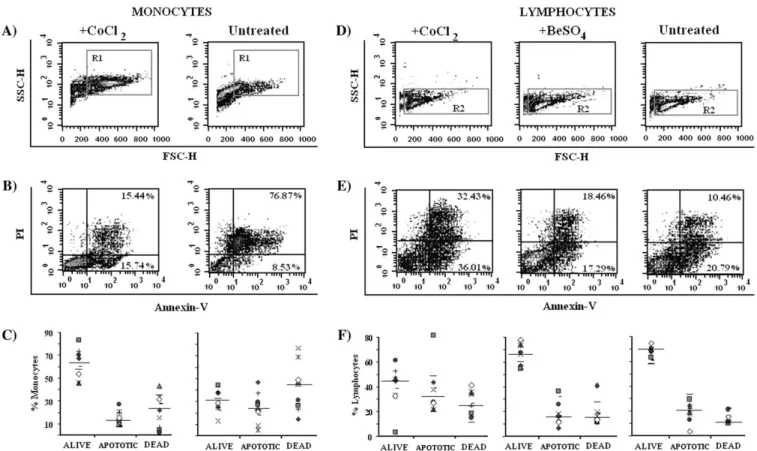 FIG. 10. Cell viability of monocytes and lymphocytes after 6 days of culture. After 6 days of culture, the viability of CoCl 2 -treated and untreated monocytes (A–C) and CoCl 2 - or BeSO 4 -treated and untreated lymphocytes (D–F) was compared