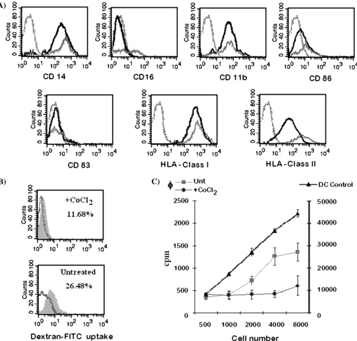 FIG. 11. Monocytes kept alive by cobalt showed reduced expression of HLA-class II and impaired antigen presentation ability
