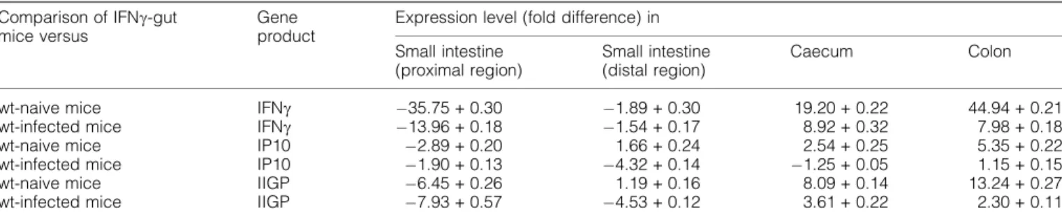 Table 1. Expression levels of IFNc, IP10 and IIGP in the small intestine, caecum and colon of IFNc-gut mice relative to wt mice as estimated by quantitative PCR a