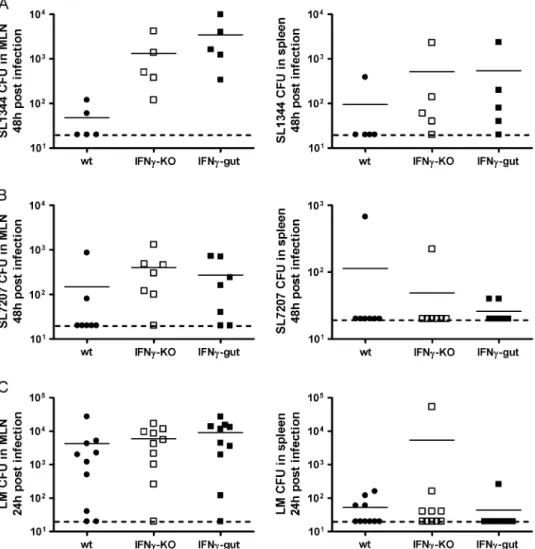 Fig. 1. Bacterial load in MLN and spleen 48 h after infections of wt, IFNc-gut and IFNc-KO mice