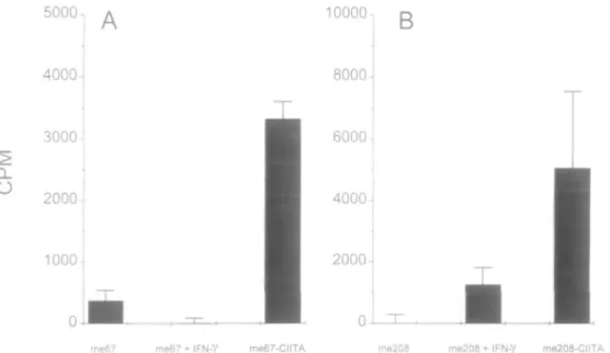 Fig. 3. Peptide-specific T cell activation by two peptide-pulsed IFN-y-treated and CIITA-transfected melanoma cell lines Me67 and Me208 transfected with CIITA or incubated with IFN-y (500 U/ml) during 48 h were fixed and preincubated overnight with 10 ng/m