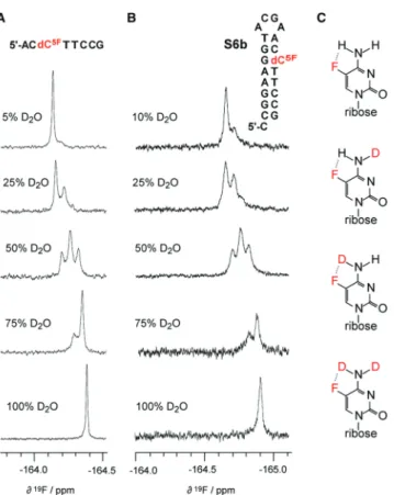 Figure 6. Solvent-induced isotope shift observed for 5-ﬂuoro cytidine modiﬁed oligonucleotides