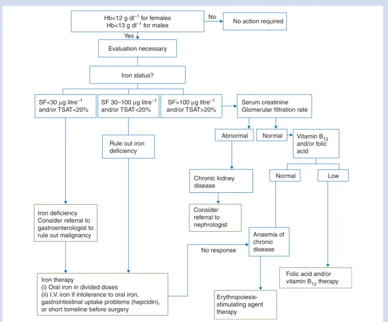 Fig 2 Proposed algorithm for the detection, evaluation, and management of preoperative anaemia
