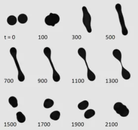 Figure 6: Droplet separation and re-coalescence, point ”C” of Fig. 3, We = 39.3, B = 0.17.